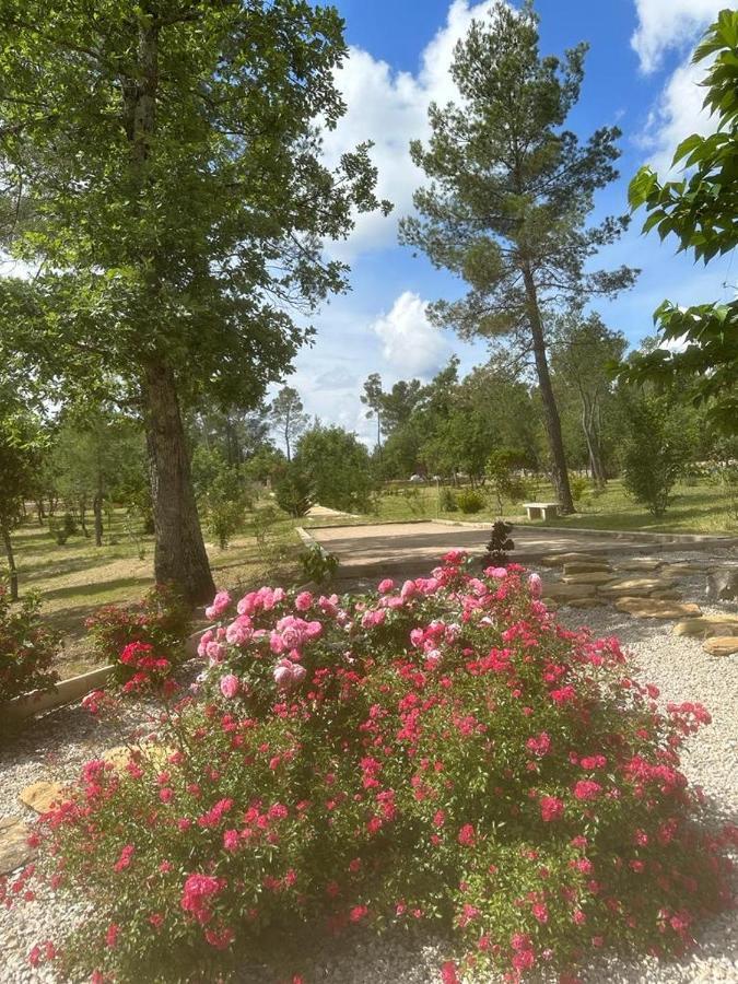 Superbe Villa Seillans La Grande Bastide Avec Piscine, Jardin, Climatisation Et Salle De Sport Ngoại thất bức ảnh