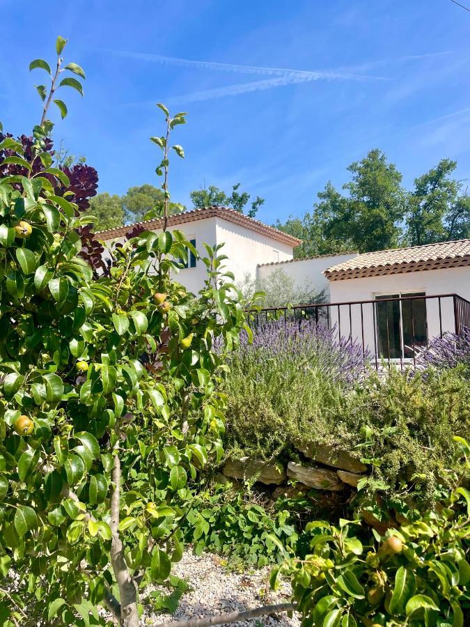 Superbe Villa Seillans La Grande Bastide Avec Piscine, Jardin, Climatisation Et Salle De Sport Ngoại thất bức ảnh